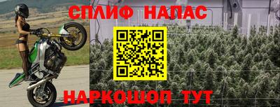 кокс Кинель