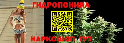 трава Камышлов