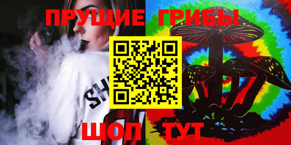 Красный Сулин  Псилоцибиновые грибы Psilocybine cubensis  Вход с VPN 